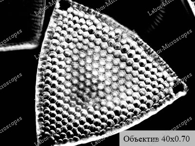 objective tempo 40x070 3