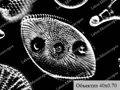 objective tempo 40x070 4