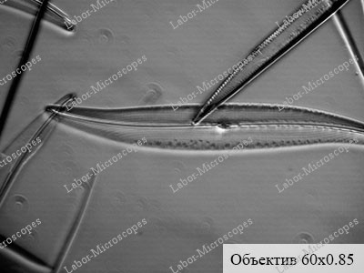 objective tempo 60x085 5