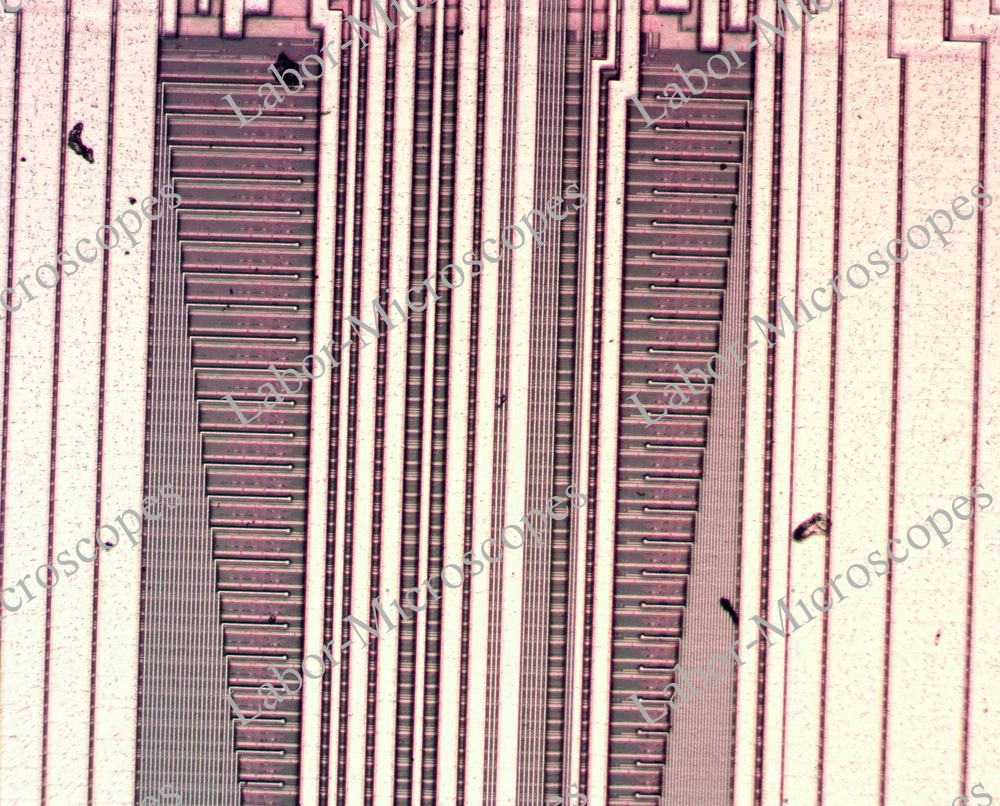 labor microscopes image 1 objective 10x