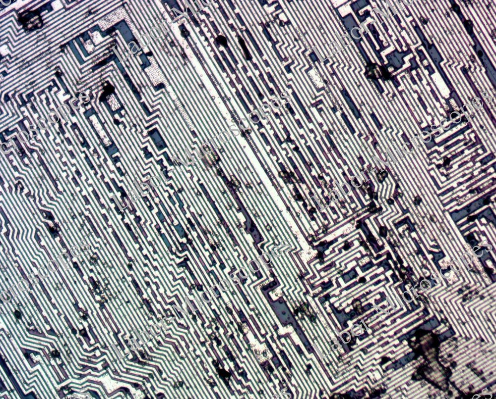 labor microscopes image 1 objective 20x