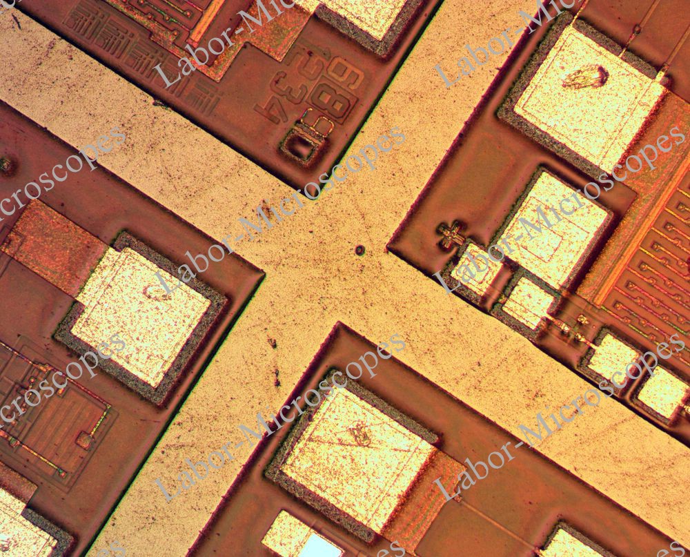 labor microscopes image 2 objective 10x