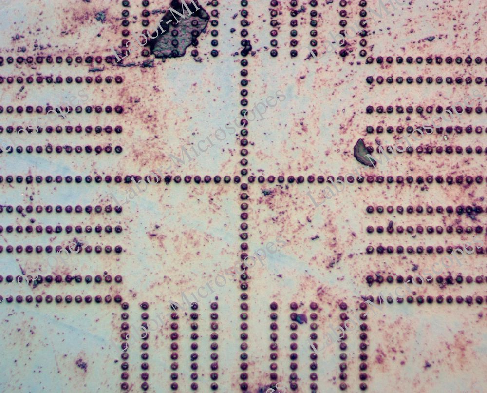 labor microscopes image 2 objective 40x
