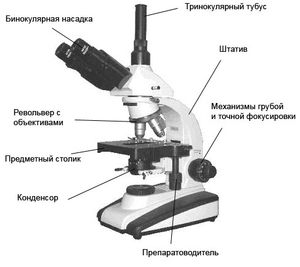 Устройство микроскопа